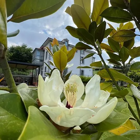 Marta Casa De Indianos Passive House * Villanueva de Ardisana