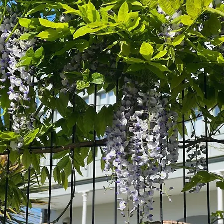 Casa di campagna Marta Casa De Indianos Passive House *