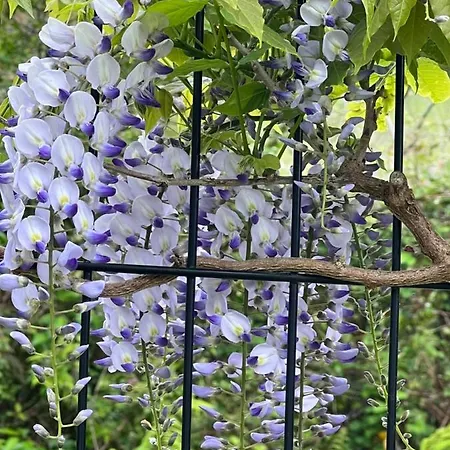 Marta Casa De Indianos Passive House Villanueva de Ardisana